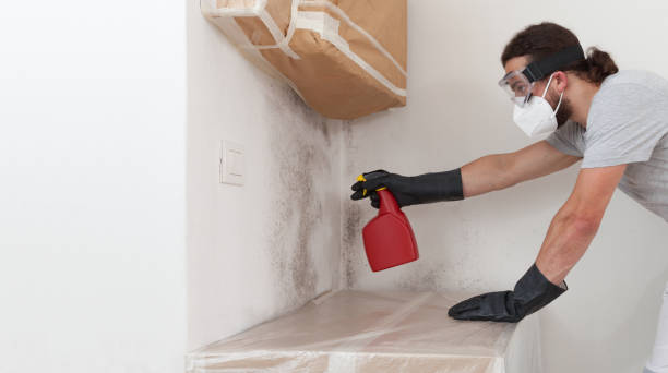 Professional Basement Mold Remediation technician working in Netcong, NJ