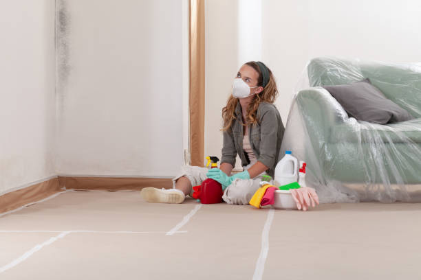Reliable Basement Mold Remediation contractor in Netcong, NJ by WQB Mold Removal